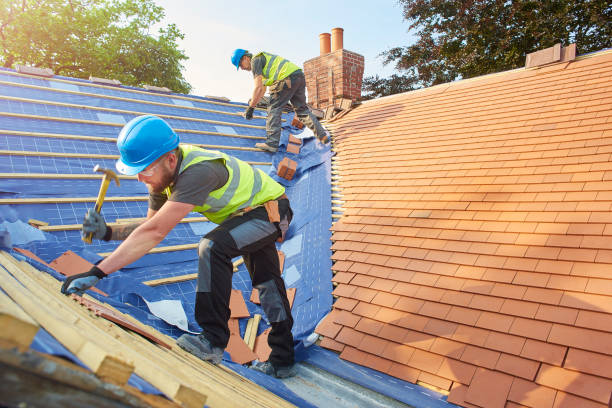 Best Skylight Installation and Repair  in Mcswain, CA